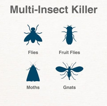 Trampa Inteligente Moscos e Insectos