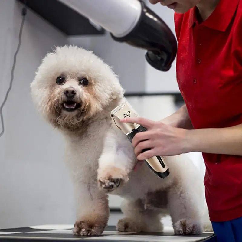 Maquina Cortadora de Pelo para Mascotas