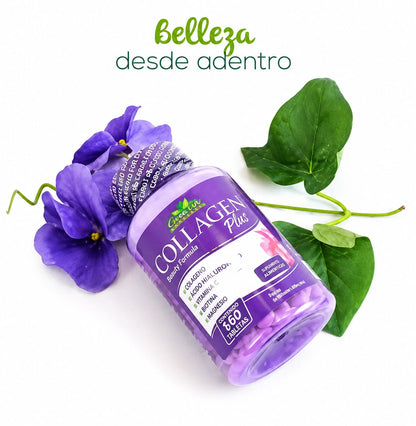 Collagen Plus - Colágeno